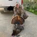 Will Bradford - Facebook