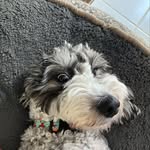 Will - @will_braun13 - Instagram