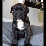 Will Braxton - @spaceman1425 - Instagram