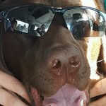 Will Brinkmann - @will_brinkmann - Instagram