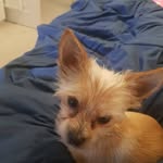 william brinkley - @will_brinkerz - Instagram