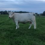 Will Briscoe - @will.briscoe.3 - Instagram