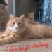 Brogdon Will - Facebook