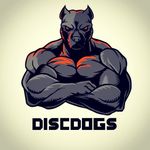Willie Brogdon - @disc.dogs - Instagram