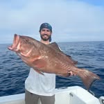 Will Brown - @willbrown0628 - Instagram
