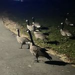 Will Browning - @willbrowning72 - Instagram