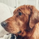 Willie Paw Brumley - @williebrumley20 - Instagram