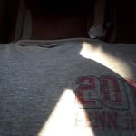 Will Brunson - @willbrunson123 - Instagram
