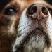 Willard Bruns - Facebook