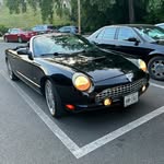 Will buckman - @wildwillie32 - Instagram