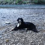 Willis Bullard - @willisbullard - Instagram
