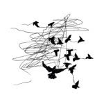 Birds Will Sing For You - @birdswillsingforyou_hq - Instagram