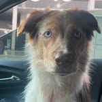 Will Burris - @willburris8 - Instagram