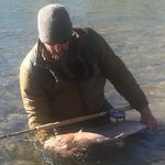 Will Bush - @willbushflies - Instagram