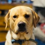 Will Butcher - @butcher3180 - Instagram