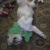 William Caldwell - Facebook