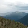 Cameron Wills - @cameron.wills17 - TikTok