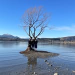 William Cameron - @will_cameron28 - Instagram