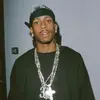 Will Carlin - @will.carlin1 - TikTok