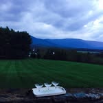 Will - @willcarlin - Instagram