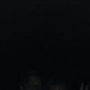 willcarpenter - @willcarpenter - TikTok