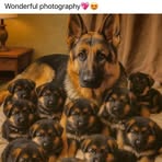James William - Facebook
