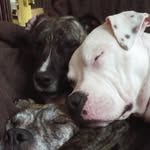 Will Cramer - @will.cramer.71 - Instagram