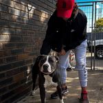 Will Cronin - @will___cronin - Instagram