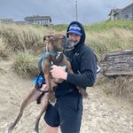 Will Crowe - @ogwillywonkabjj - Instagram