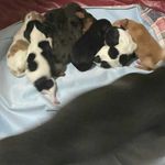 Will Curtis - @will.curtis.754 - Instagram