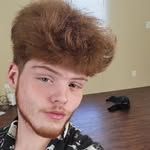 Will dalton - @willldalton - Instagram