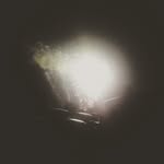 Will Dalton - @willdalton2 - Instagram