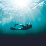 Will Davison - @willd2408 - Instagram