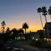 willdavison - @will374626 - TikTok