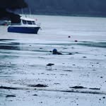 Will - @willdenton - Instagram