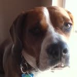 Will Dobbins - @wdobbins220 - Instagram