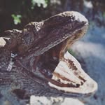 Will Duke - @dukey002 - Instagram