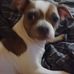 Will Eaton - Facebook