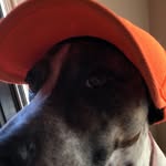 Will Ellis - @willellis8623 - Instagram