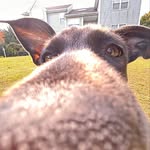 Will Engelhardt - @will_engelhardt - Instagram