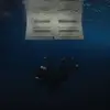 William James Erwin - @will.erwin6 - TikTok