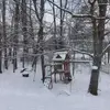 Everett Wills - @everett.wills - TikTok