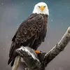 Will - @will.everett0 - TikTok