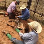 Will Farley - @poncho_willie - Instagram