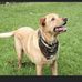 Will Farris - Facebook