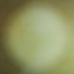 will farris - @will_farris_was_too_coo - Instagram