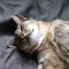 will_ferris28 - @will_ferris28 - TikTok
