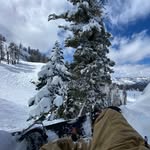 Will Ferris - @williamblakeferris - Instagram