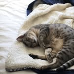 Will Ferris - @will_ferris28 - Instagram