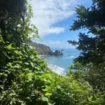 @_will.fitch - Instagram